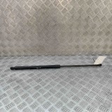 Amortizor haion st&acirc;nga JAGUAR F-TYPE Coupe X152 2021 OEM: EX53-406A11-AA 30133353