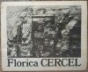 Program expozitie Florica Cercel