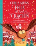 Cumpara ieftin Cum a ajuns Felix acasa de Craciun. O poveste de Advent. Cu 24 de capitole si jumatate/Alex T. Smith, Litera