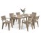 Set mobilier de grădină Fujuli 6+1 cappuccino