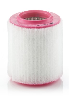 MANN-FILTER C 1652/2 Filtru aer foto