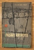 Pasari ratacite de G. Morcinek