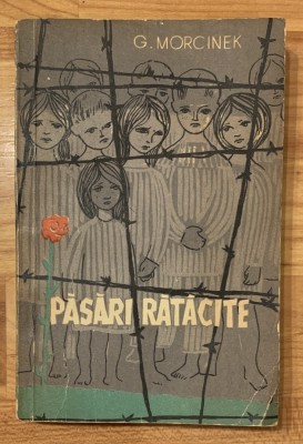 Pasari ratacite de G. Morcinek foto