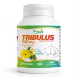 Cumpara ieftin Tribulus 500, 60 capsule, Naturalis