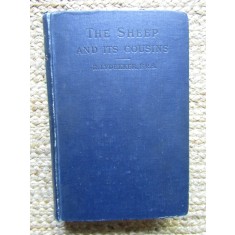 The Sheep and its Cousins - R. LYDEKKER 1912