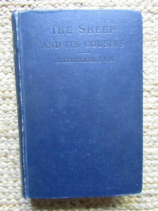 The Sheep and its Cousins - R. LYDEKKER 1912