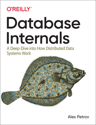 Database Internals: A Deep-Dive Into How Distributed Data Systems Work foto