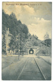 4407 - BUSTENI, Prahova, Railway Tunnel, Romania - old postcard - unused, Necirculata, Printata