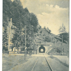 4407 - BUSTENI, Prahova, Railway Tunnel, Romania - old postcard - unused