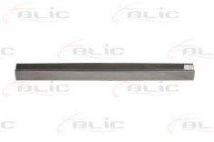 Panou lateral VW TRANSPORTER V caroserie (7HA, 7HH, 7EA, 7EH) (2003 - 2016) BLIC 6505-06-9568001P