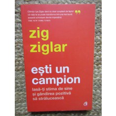 Esti un campion - Zig Ziglar