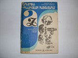 Cumpara ieftin Universul Mijloacelor Audiovizuale - T. Mucica M. Perovici , 20738