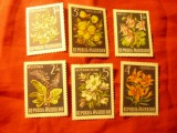 Serie Austria 1966 Flori Alpine , 6 valori