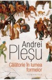 Calatorie in lumea formelor - Andrei Plesu
