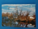 CPIB 23377 CARTE POSTALA - VEDERE DIN DELTA DUNARII, RPR, CIRCULATA, 1965, STAMPILE, TIMBRU, Fotografie