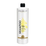 Sampon Iv San Bernard Lemon, pentru caini si pisici, 1l