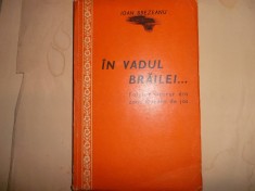 In vadul Brailei / Ion Brezeanu foto