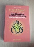 Cumpara ieftin Mantra Yoga si sunetul primordial - David Frawley