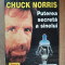 Puterea secreta a sinelui- Chuck Norris