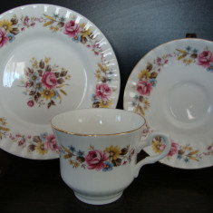 SET / SERVICIU MIC DEJUN DIN PORTELAN BONE CHINA ROYAL STAFFORD