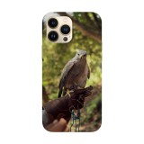 Husa compatibila cu Apple iPhone 14 model Eagle Trainer, Silicon, TPU, Viceversa