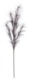 Set 12 crengute Pampas gri inchis 20x100 cm