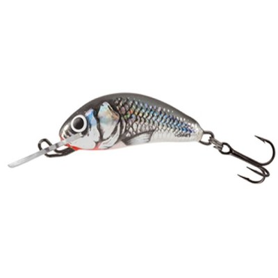 Vobler Salmo Hornet Sinking 2.5 Cm Holographic Grey Shiner 1.5 Gr H2S foto