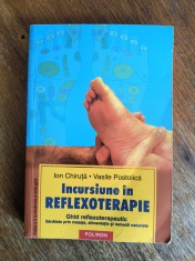 Incursiune in Reflexoterapie - Ion Chiruta / R8P3S foto