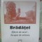 Bradatel-sfarsit de secol inceput de mileniu-Iuliana Iacob