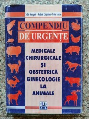 Compendiu De Urgente Medicale Si Chirurgicale Si Obstetrica G - Sabin Ghergariu V. Capatana T. Enache , B811 foto