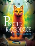 Pisicile razboinice Vol. 1: In inima padurii - Editura Grupul All