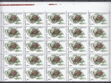 ROMANIA 1996 INSECTE LP 1413 VALOAREA 700 LEI BLOC 25 TIMBRE STARE MNH