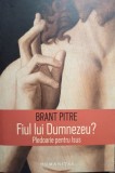 Brant Pitre - Fiul lui Dumnezeu? (Editia: 2017)