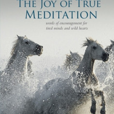 The joy of True Meditation: Words of Encouragement for Tired Minds and Wild Hearts