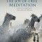 The joy of True Meditation: Words of Encouragement for Tired Minds and Wild Hearts