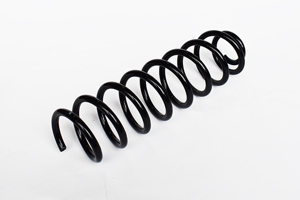 Arc Suspensie Spate 65918 SR.068