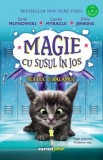 Magie cu susul in jos. Bucluc &amp; balamuc - Editura Corint