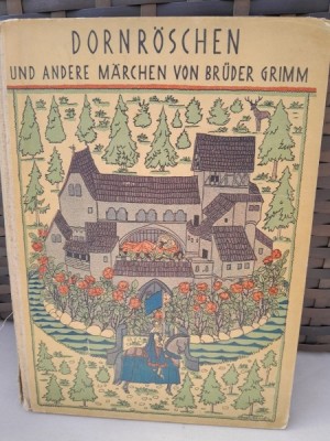 Dornroschen. Und Andere Marchen von Bruder Grimm foto