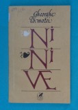 Gheorghe Tomozei &ndash; Ninive