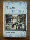 VALERIU NICOLAE - TIGAN TANDARI - 2022