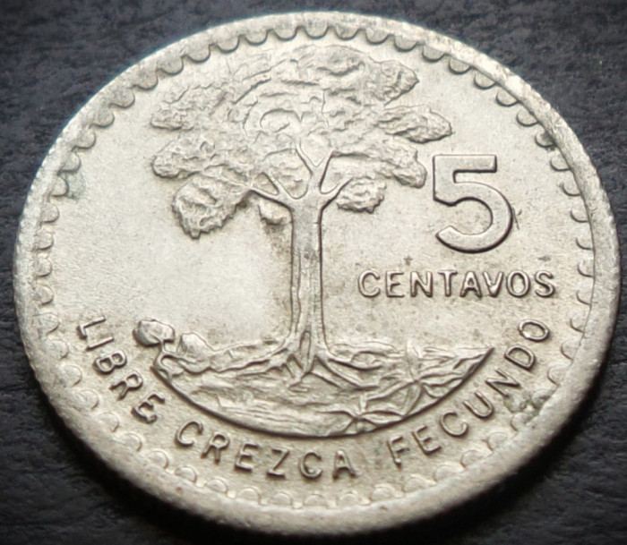 Moneda exotica 5 CENTAVOS - GUATEMALA, anul 1976 * cod 1958 = UNC luciu batere