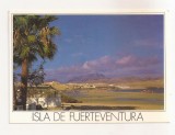FA119 -Carte Postala- SPANIA - Isla de Fuerteventura. Costa Calma, circulata 1992