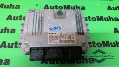 Calculator ecu Peugeot 307 (2001-2008) 0281011863 foto