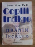 Doreen Virtue - Copiii Indigo. Cum sa-i hranim si sa-i ingrijim