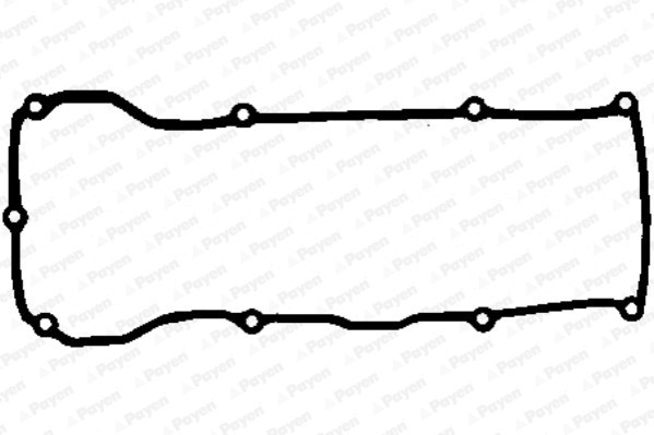 PAYEN JM5064 Garnitura, capac supape