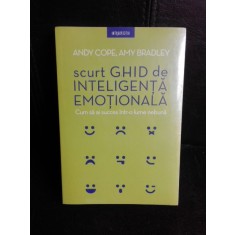 Scurt ghid de inteligenta emotionala, cum sa ai succes intr-o lume nebuna - Andy Core