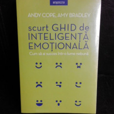 Scurt ghid de inteligenta emotionala, cum sa ai succes intr-o lume nebuna - Andy Core