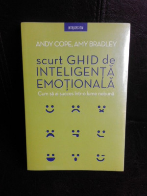 Scurt ghid de inteligenta emotionala, cum sa ai succes intr-o lume nebuna - Andy Core foto