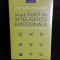 Scurt ghid de inteligenta emotionala, cum sa ai succes intr-o lume nebuna - Andy Core