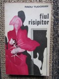 Radu Tudoran - Fiul risipitor
